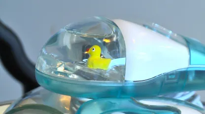 Duckmouse